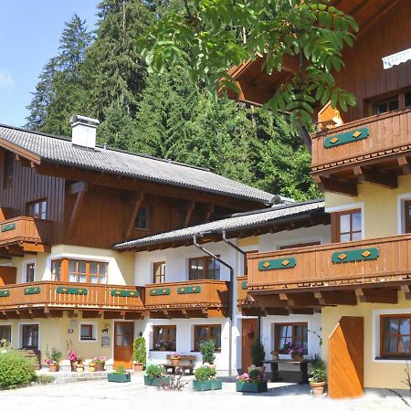 Chalet Zauberfloete Radstadt Exteriér fotografie