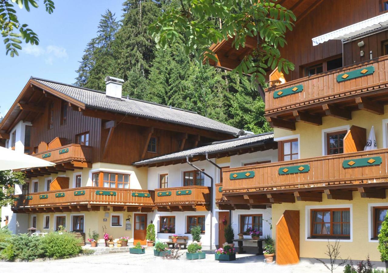 Chalet Zauberfloete Radstadt Exteriér fotografie